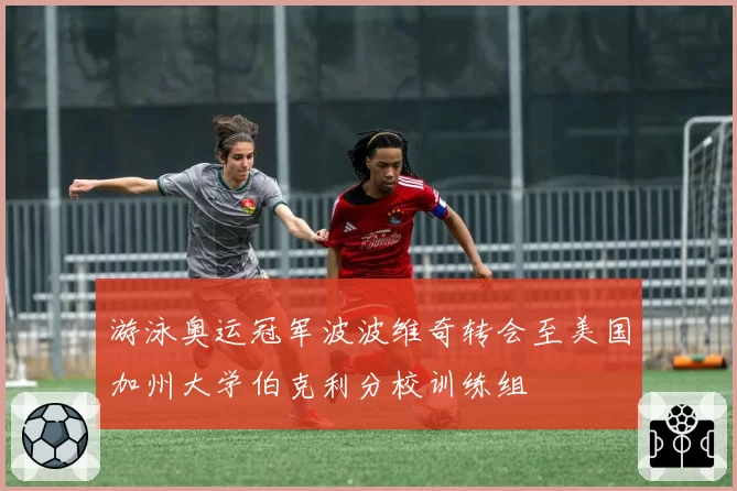 游泳奥运冠军波波维奇转会至美国加州大学伯克利分校训练组