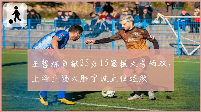 王哲林贡献25分15篮板大号两双,上海主场大胜宁波止住连败